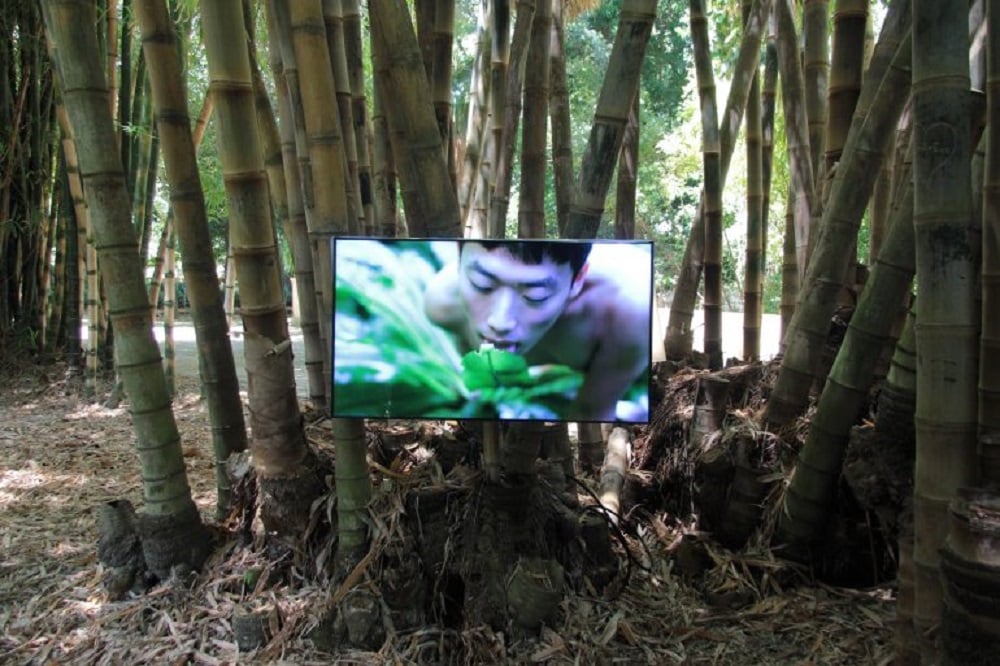 Zheng Bo, Pteridophilia (2016 – in corso), video. Ph. Manifesta12