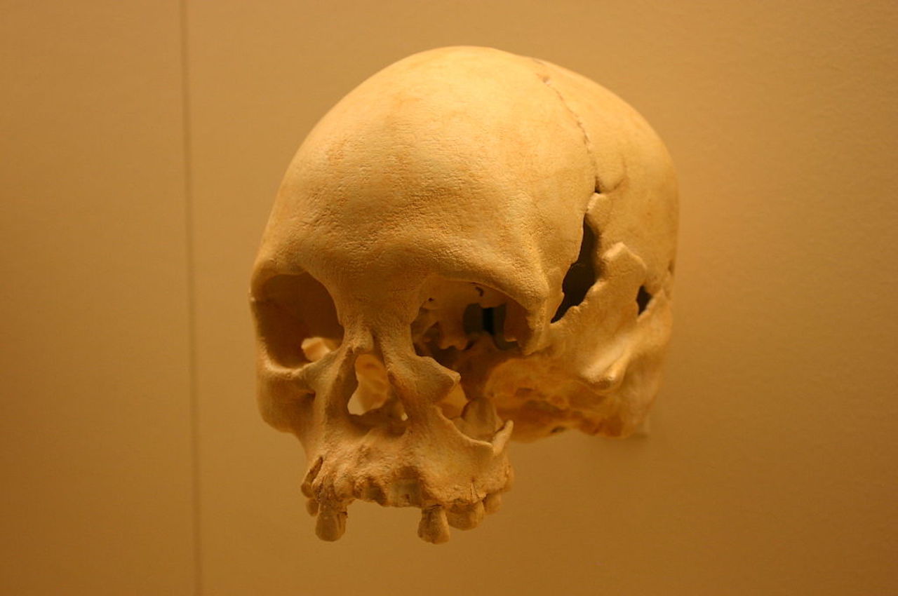 Lapa Vermelha IV Hominid 1 Homo Sapiens 11500 Years Old Il National Museum of Brazil a Rio de Janeiro è in fiamme. Si teme per la collezione