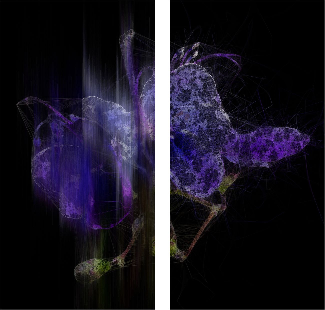 Ryoichi Kurokawa, lttrans #1, 2018. © l’artista. Courtesy Takuro Someya Contemporary Art