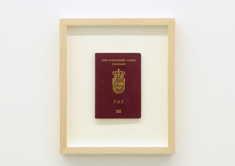 passport Umani in batteria