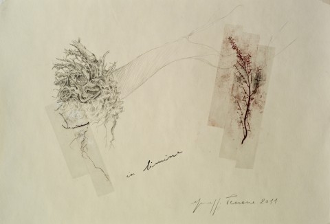 pen1 Il signore degli alberi. Penone fa 150 per la GAM di Torino