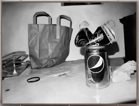 James White Pepsi Coke 2010 oil and varnish on birch ply in perspex box frame 75x100 cm La lunga istantanea dell’iper-reale