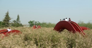 Un labirinto di ponti, la nuova installazione dei West 8 alla Xi’an International Horticultural Exhibition