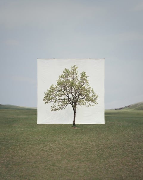 Tree 14 2009 Statoil. Art Programme per tutti i dipendenti