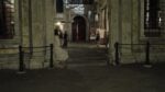 Venezia Artnight 9 Notturno veneziano. Fra musei, musica e performance, il fotoreport dell’Art Whute Night