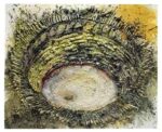 miquel barcelo faena de muleta Scintille contemporanee a Londra. Tre serate di aste, svettano Basquiat e Bacon