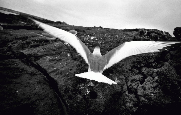 Antonin Kratochvil Viaggio in Toscana. È dedicato al reportage il nuovo festival fotografico Cortona on the Move