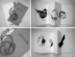 Asylum 2011 serigrafia Storie d’uccelli, di rovi e di magneti