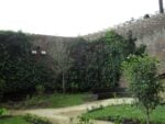 Bosco 2 Photo Claudia Giraud Orto, bosco e frutteto, al centro di Torino. Il Fossato di Palazzo Madama ora è un Giardino Medievale