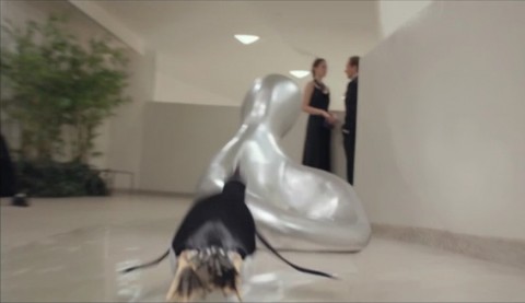 I pinguini di Mr. Popper Pinguini al museo. Ecco il trailer del nuovo film di Jim Carrey con le scene girate al Guggenheim
