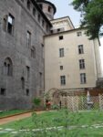 Il Giardino del Principe 2 Photo Claudia Giraud Orto, bosco e frutteto, al centro di Torino. Il Fossato di Palazzo Madama ora è un Giardino Medievale