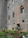 Orto 3 Photo Claudia Giraud Orto, bosco e frutteto, al centro di Torino. Il Fossato di Palazzo Madama ora è un Giardino Medievale