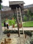 Pollaio Photo Claudia Giraud Orto, bosco e frutteto, al centro di Torino. Il Fossato di Palazzo Madama ora è un Giardino Medievale