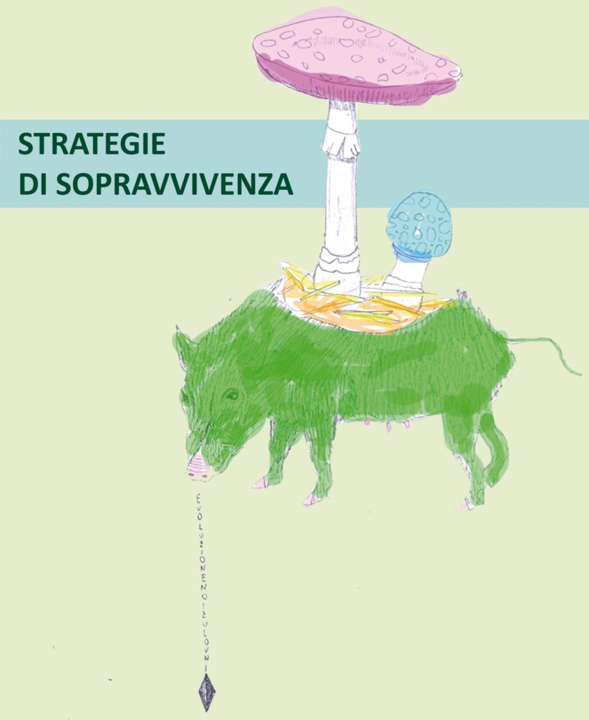 L’arte in soccorso del mondo, ovvero Strategie di Sopravvivenza. Installazioni e performance in Valsassina