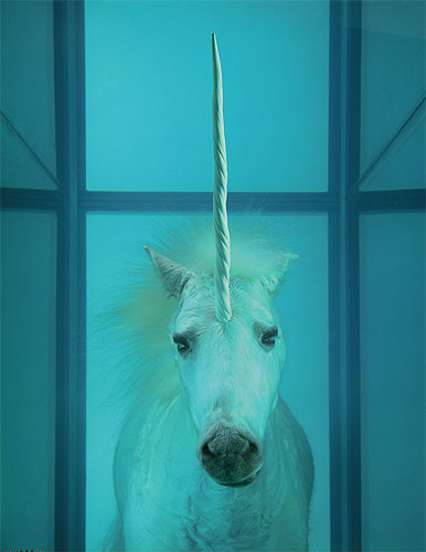 damien hirst the dream 2008 Manca la passione d'essere visti