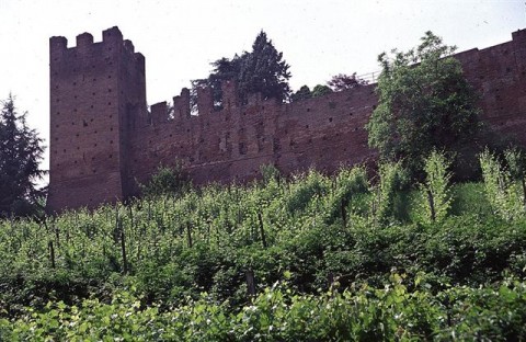 Castello di San Colombano al Lambro Teatro e tradizione, ma anche formazione. A San Colombano al Lambro weekend d’arte con il Theatre Music Art Festival