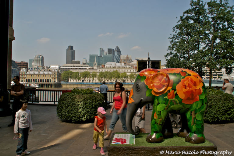 L’Elephant Parade nella tappa di Londra1 Dopo la parata delle mucche arriva quella degli elefanti. A Milano gli artisti decorano grandi pachidermi in ceramica per salvarne altri in carne e ossa