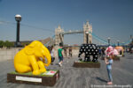 L’Elephant Parade nella tappa di Londra2 Dopo la parata delle mucche arriva quella degli elefanti. A Milano gli artisti decorano grandi pachidermi in ceramica per salvarne altri in carne e ossa