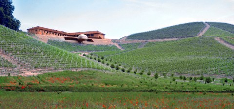 La Tenuta Monsordo Bernardina ad Alba Ancora novità in casa Ceretto. Nella residenza d’artista immersa fra le Langhe finisce la grande Kiki Smith