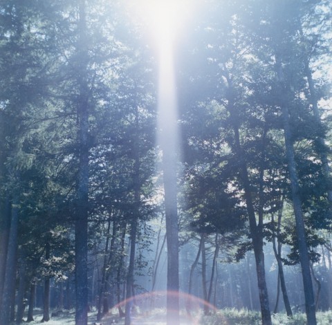 Dieci anni di FotoGrafia. A Roma