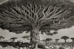 213 Il tempo, osservato, si ferma. Colpa di Beth Moon