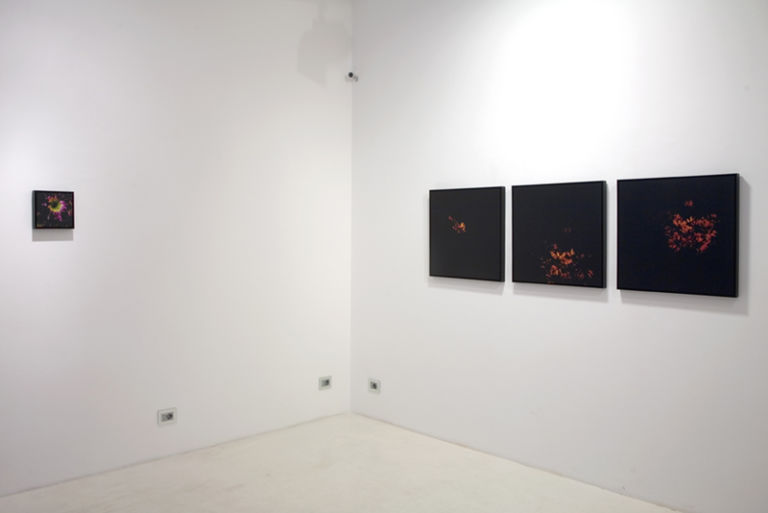 6 In un palmo di mano installation view Still-life in una mano