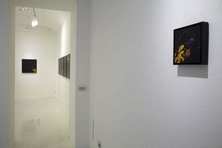 7 In un palmo di mano installation view Still-life in una mano