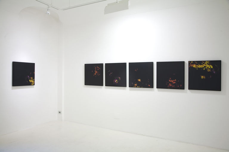 9 In un palmo di mano installation view Still-life in una mano