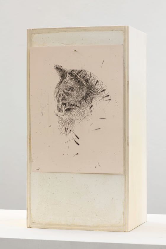 Francesco Barocco Senza Titolo 2011 legno gesso acquaforte dettaglio 139 x 60 x 405 cm. Courtesy Norma Mangione Gallery Torino In punta di Barocco