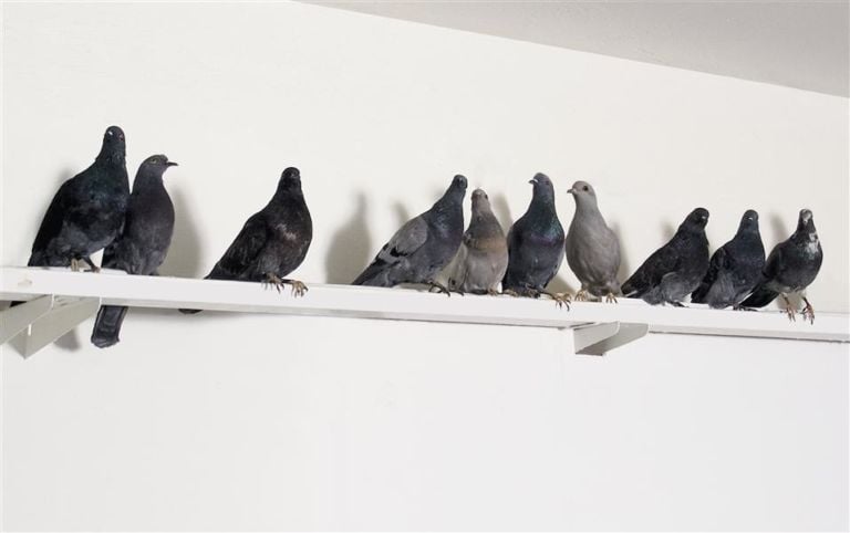 I Turisti di Maurizio Cattelan alla Biennale di Venezia 1997