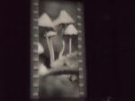 Tacita Dean – Film Turbine Hall Tate Modern 17 London Updates: cinematografo Tate. Ecco a voi le nostre foto del Film sui film di Tacita Dean alla Turbine Hall