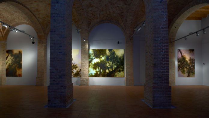 Francesco De Grandi - Il passaggio difficile - veduta della mostra presso la GAM, Palermo 2011 - photo Giacomo Daguanno