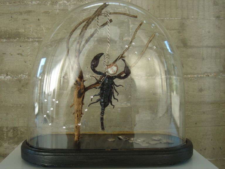 lo scorpione assimilato nel medioegvo alla figura di giuda L’ironico e leggero zodiaco di Bouke de Vries