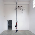 1 Simon Starling Under Lime Il poema inaccessibile di Simon Starling