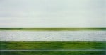 Andreas Gursky Rhein II Oltre 300 milioni di dollari, tanti record (compreso quello all time per la fotografia di Gursky), parterre fittissimo di art vip. Christie’s fa meraviglie a New York