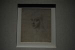 Leonardo Photo Barbara Reale 42 Crescendo leonardiano. Inaugurata alla Reggia di Venaria la grande mostra, c’è anche il famoso autoritratto. E c’è anche la gallery di Artribune…