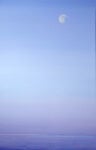 PIero Guccione Luna mattutina 2009 2010 olio su tela 150x98 cm Piero Guccione, uno sguardo verso l’infinito. In arrivo al Festival del Film di Roma un tributo al pittore siciliano. E intanto, un estratto su Artribune Television…