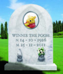 Winnie RIP picc Passo dopo passo. Si apre la terza edizione di Step09