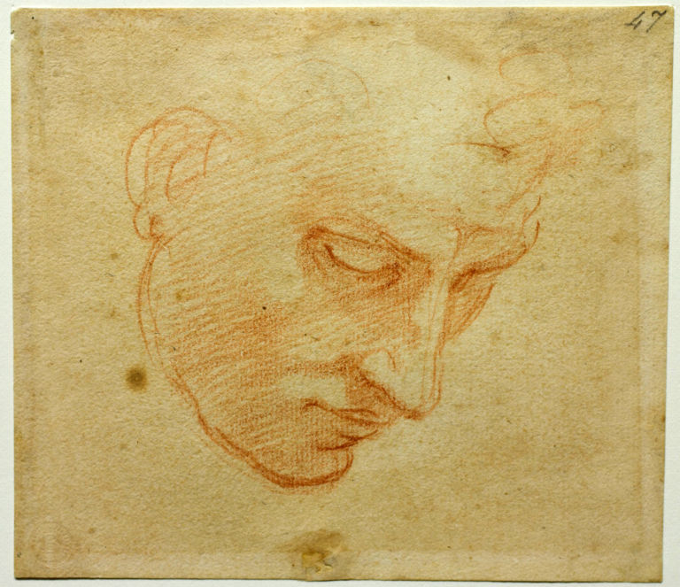 18 Leonardo e Michelangelo: incontro fra titani