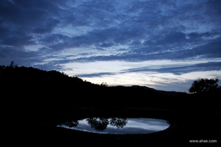 AHAE Throwgh my window Natura, fotografia e… imprenditoria