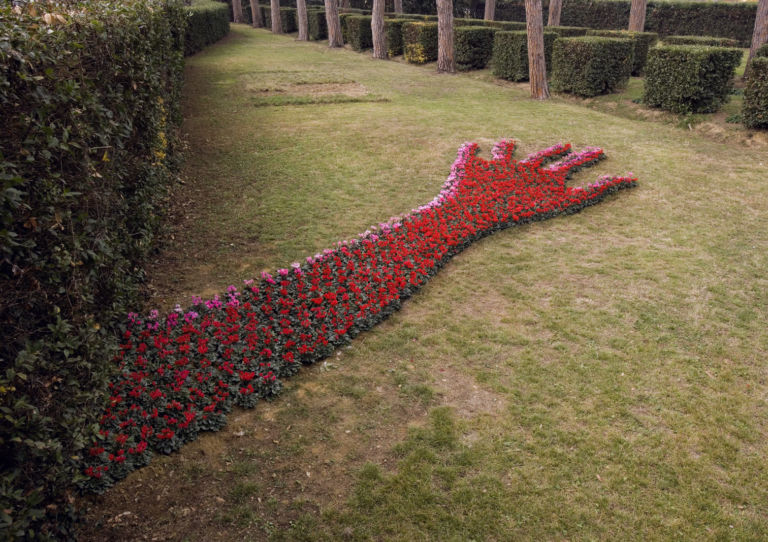 Stefano Arienti alla Fattoria Montellori foto Serge Domingie 2 Opere da concimare, e poi da irrigare. Dopo lo zafferano di Vitone, alla Fattoria Montellori di Fucecchio arriva la scultura di ciclamini di Stefano Arienti. Ecco le foto