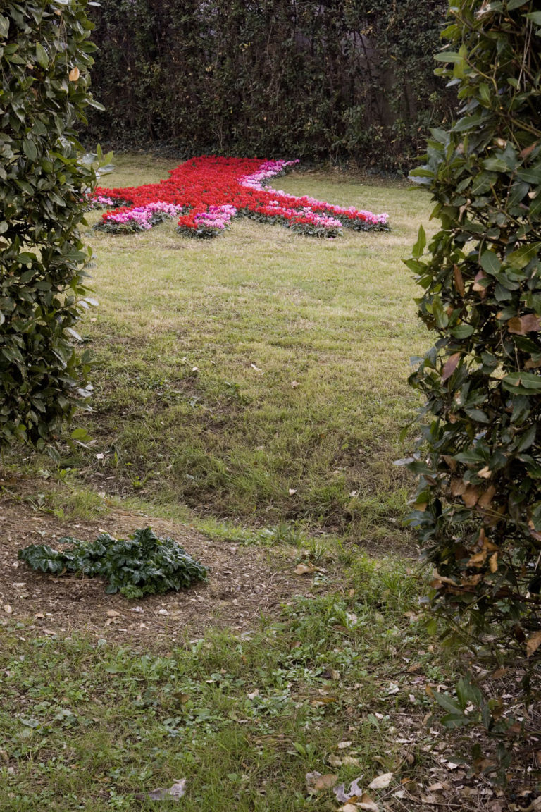 Stefano Arienti alla Fattoria Montellori foto Serge Domingie 3 Opere da concimare, e poi da irrigare. Dopo lo zafferano di Vitone, alla Fattoria Montellori di Fucecchio arriva la scultura di ciclamini di Stefano Arienti. Ecco le foto