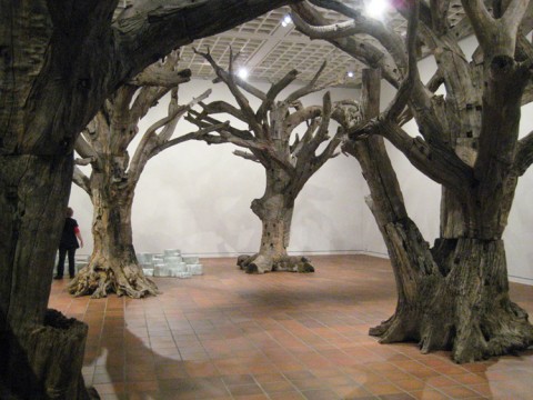 7 AI WEIWEI TREE Ai Weiwei: l’est al nord