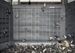 FRP2 Galerie Gourvennec Ogor Marsiglia 8 Dallo spazio infinito all’elemento definito. Si spinge fino a Marsiglia il duo milanese FRP2 per presentare i suoi ultimi paesaggi urbani, ecco la fotogallery