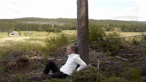 Niklas Goldbach the nature of things Collezionare videoarte (Part I)