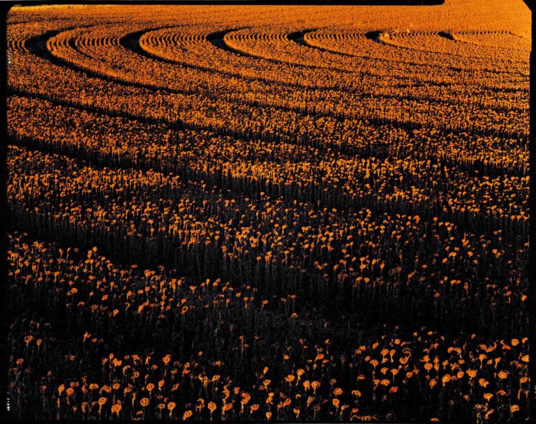 02 Valsecchi 0485 San Luis 2007 Pampas sconfinata e sovresposta. Valsecchi guarda al Sudamerica