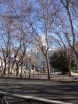 Palacio de Cibeles 8 Madrid Updates: per chi ha tempo di fare un piccolo giro fuorifiera la grande novità è il Palacio de Cibeles. Eccolo, il video-blitz