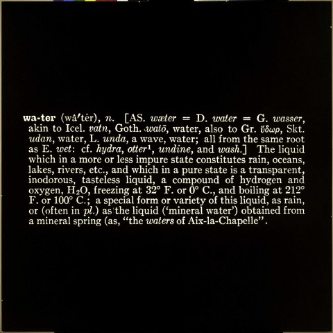 13 Joseph Kosuth American (r)Evolution