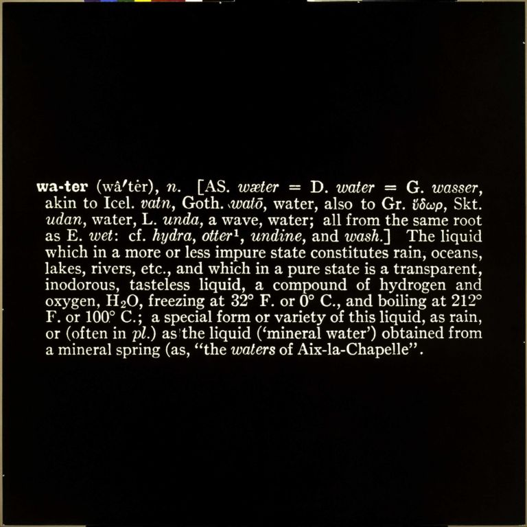 13 Joseph Kosuth American (r)Evolution