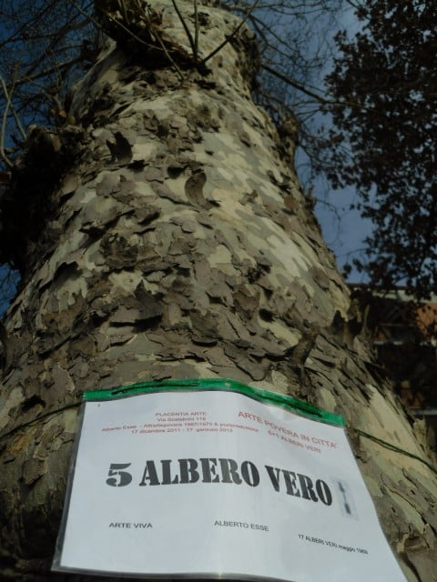 4 Alberto Esse Albero Vero Piacenza Pubblico Passeggio 1969 2011 Arte Povera 2011. Quattro errori per una mistificazione storico-critica